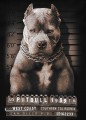 2130419000 T-Shirt Mugshot 2 Black 05 small.jpg