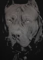 2140399000 T-Shirt Born In 1989 Black 05 small.jpg